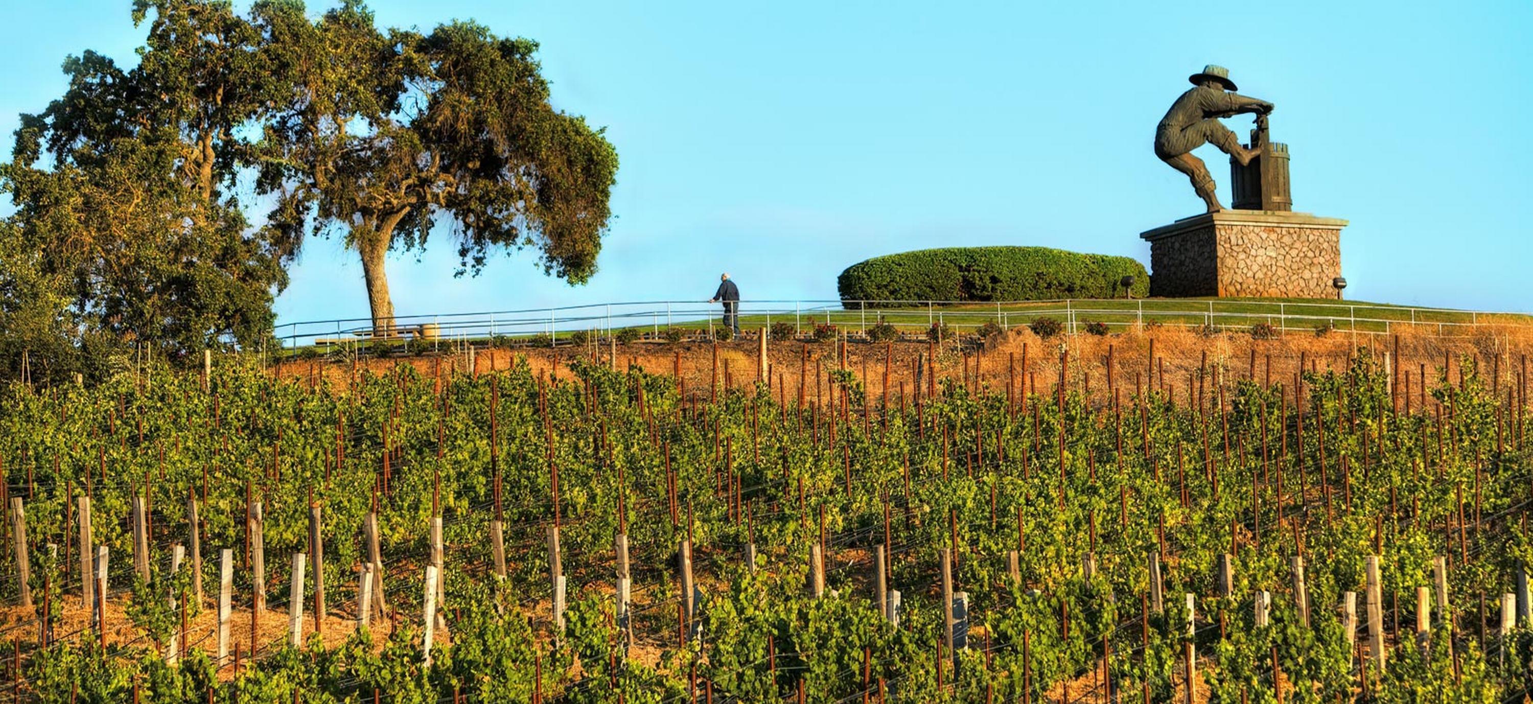 The Meritage And